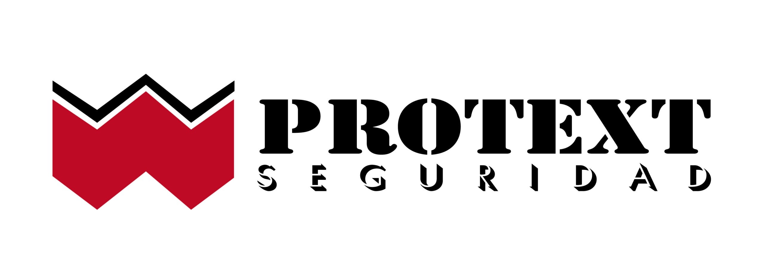 Protext Seguridad